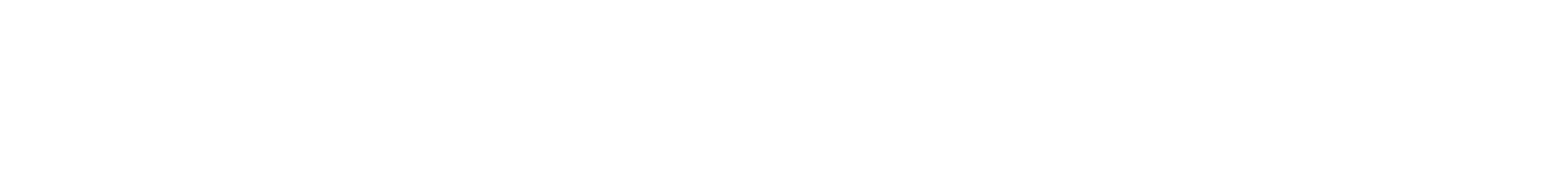 Lamborghini Section Divider